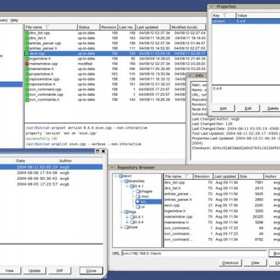 syncro svn client