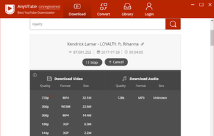 AnyUTube Downloader screenshot 3