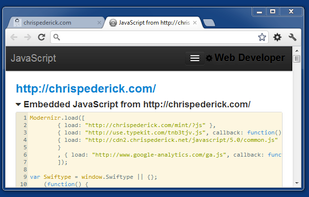 Web Developer screenshot 1