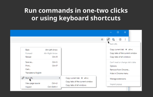 Rich URL screenshot 1