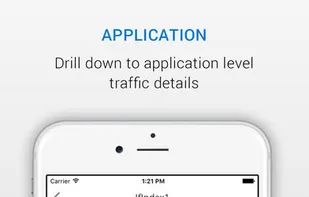 NetFlow Analyzer screenshot 3