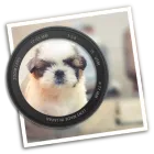 Photo Blur FX icon