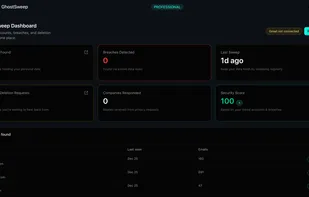 The dashboard reveals a summary of your digital footprint — how many accounts are tied to your email, which ones look risky, and what cleanup actions are available.