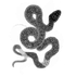 Animal Guides icon