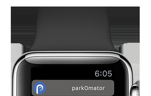 Apple Watch: Pin It Down