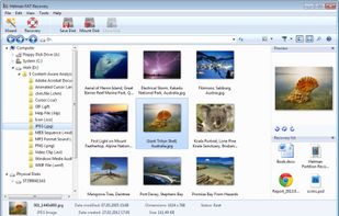 Recovered files