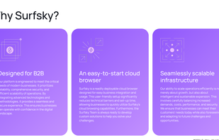 Surfsky screenshot 1