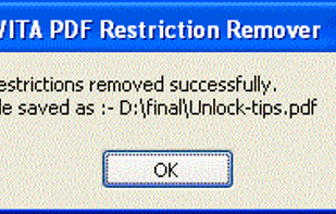PCVITA PDF Restriction Remover screenshot 3