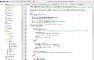 Editing multiple files with file browser on left.