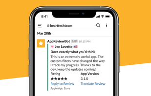 AppReviewBot uses the power of Slack.