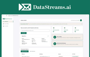 DataStreams.ai screenshot 1