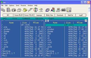 NetTerm screenshot 1