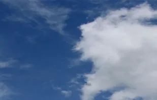 Iconia Icon Pack screenshot 1