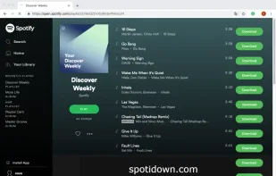 SpotiDown screenshot 1
