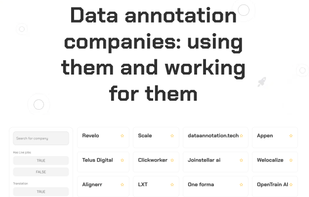 Data annotation screenshot 1