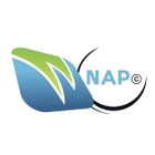 NAP - Network Analysis and Planning icon