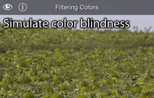 Color Blind Pal screenshot 2