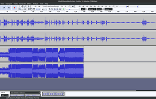 AudMonkey screenshot 1