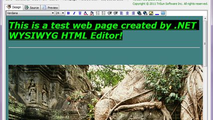 .NET WYSIWYG HTML Editor screenshot 1