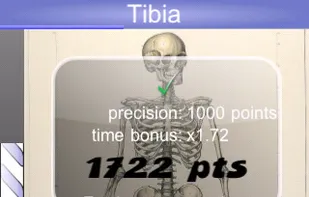 Speed Anatomy screenshot 2