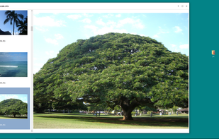 Quick Eye screenshot 3