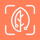 BiteRight icon