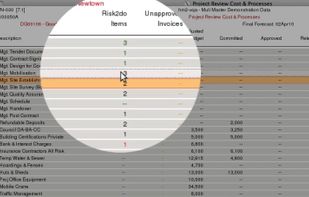 Individual project "Risk" review items to be 'signed off' by higher access user, for each project