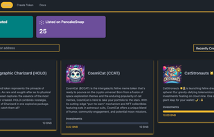 BNBpump.fun screenshot 1