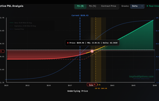 Options P&L calculator with Greeks charting