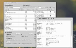 SelekTOR screenshot 2
