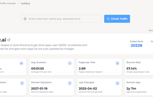 Website Traffic Detail