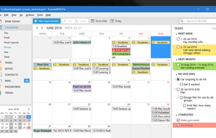 EssentialPIM screenshot 2
