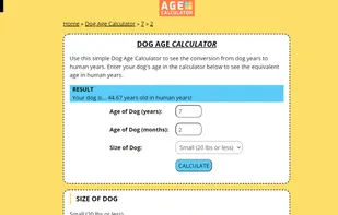 Date & Age Calculator screenshot 3