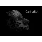 CarinaBot icon