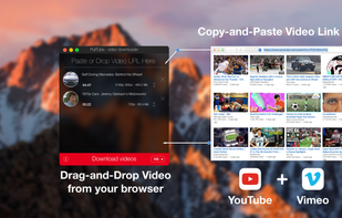 Just drag-and-drop or paste video/playlist URL to add it to your download list