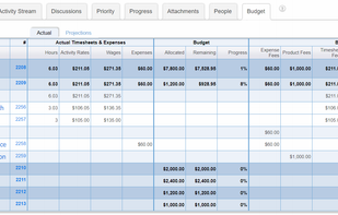 Record expenses and time, and track your project budget and billing details.