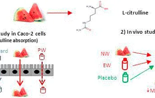 ACS Publications screenshot 1