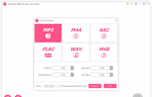 AudFree DRM Audio Converter screenshot 3