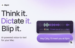 Blip AI screenshot 1