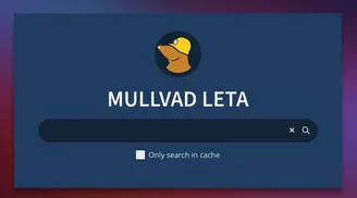 Mullvad will shut down its privacy-focused search proxy, Leta, on November 27, 2025 image