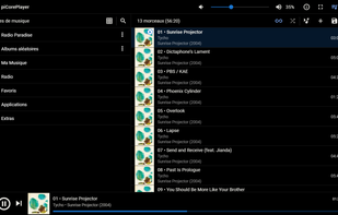 With the lms-material interface, library mode.