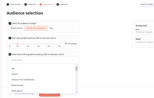 Audience demographics selection