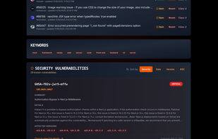 vulnerabilities of next js