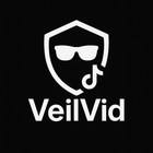 VeilVid icon