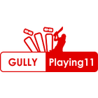Gully Playing11 icon