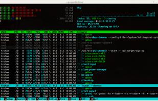 htop screenshot 1