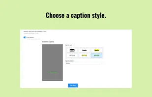 Choose a caption style.
