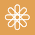 Sunlight icon