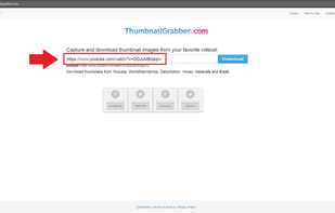 Thumbnail Grabber screenshot 1