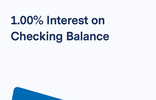 BlueVine screenshot 1